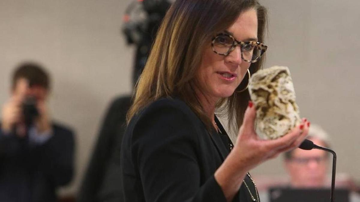 Sen. Dana Young, R-Tampa, shows off a piece of Florida limestone during a Senate Committee on Environmental Preservation and Conservation meeting considering her fracking ban bill, Tuesday, March 7, 2017, at the Capitol. The committee passed the bill.