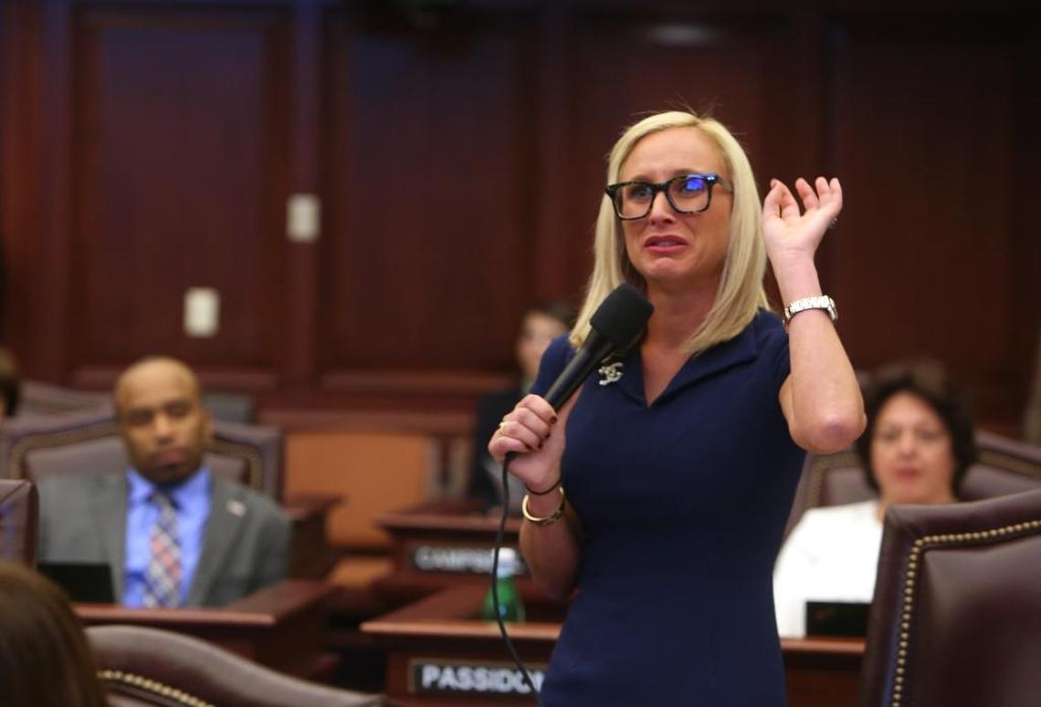 Sen. Lauren Book describes the day and scene at Marjory Stoneman Douglas High School when 17 students were killed in a mass shooting.
