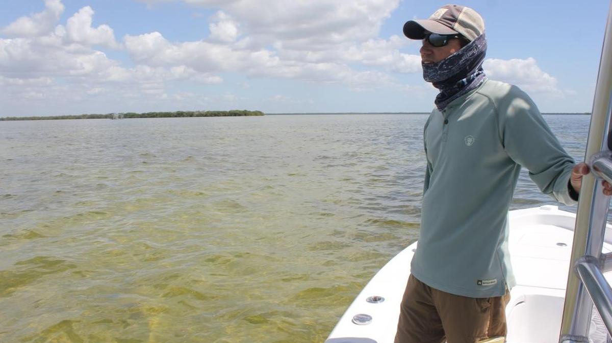 Pete Frezza, an Audubon of Florida researcher based in Tavernier and a part-time fishing guide, looks over a muddy bottom in northern Florida Bay. It should be covered by lush fields of turtle grass, critical to fish and other wildlife