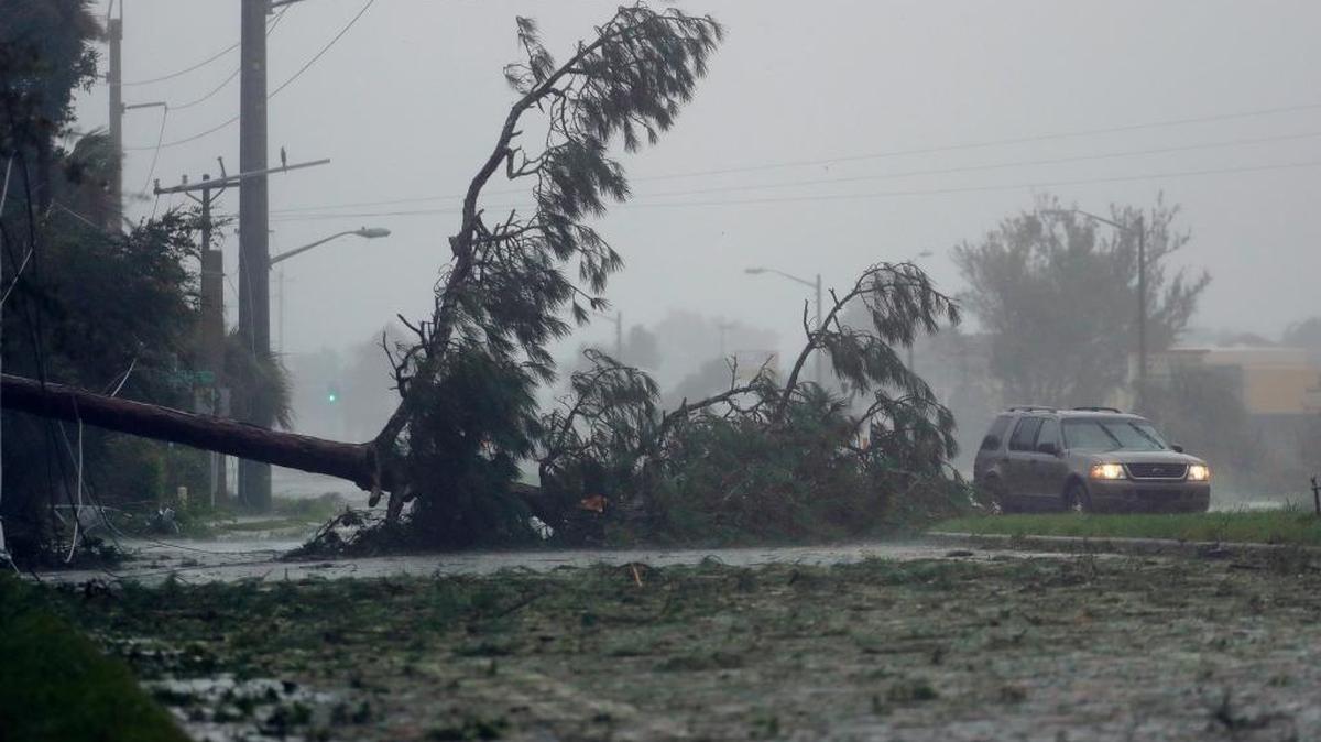A car drives past a downed tree as Hurricane Matthew moves through Daytona Beach, Friday, Oct. 7, 2016. Many Florida communities and agencies are still waiting for the state to reimburse them for cleanup expenses.