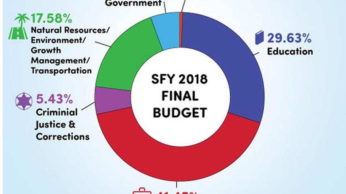 A breakdown of the proposed new state budget by the Florida Association of Counties.