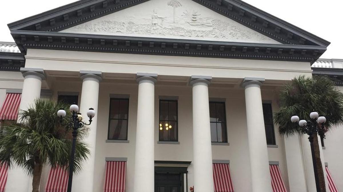 Tallahassee resident Bonnie McCluskey, left, and the Rev. Jes Morgan, of Pensacola, stand in the rain in front of Florida’s Old Capitol as part of protest to encourage the state’s 29 electors to oppose Donald Trump for president in the Electoral College vote on Monday, Dec. 19, 2016.