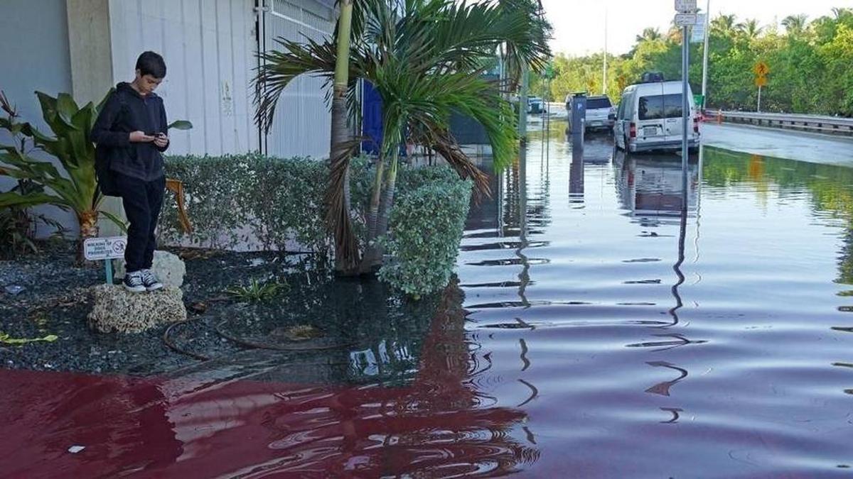 A student waits for the school bus in front of his condo on Indian Creek Drive during high tide on Miami Beach, Oct. 9, 2015.