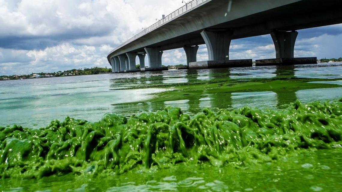 Big Sugar’s slime flows north to Florida’s Capitol