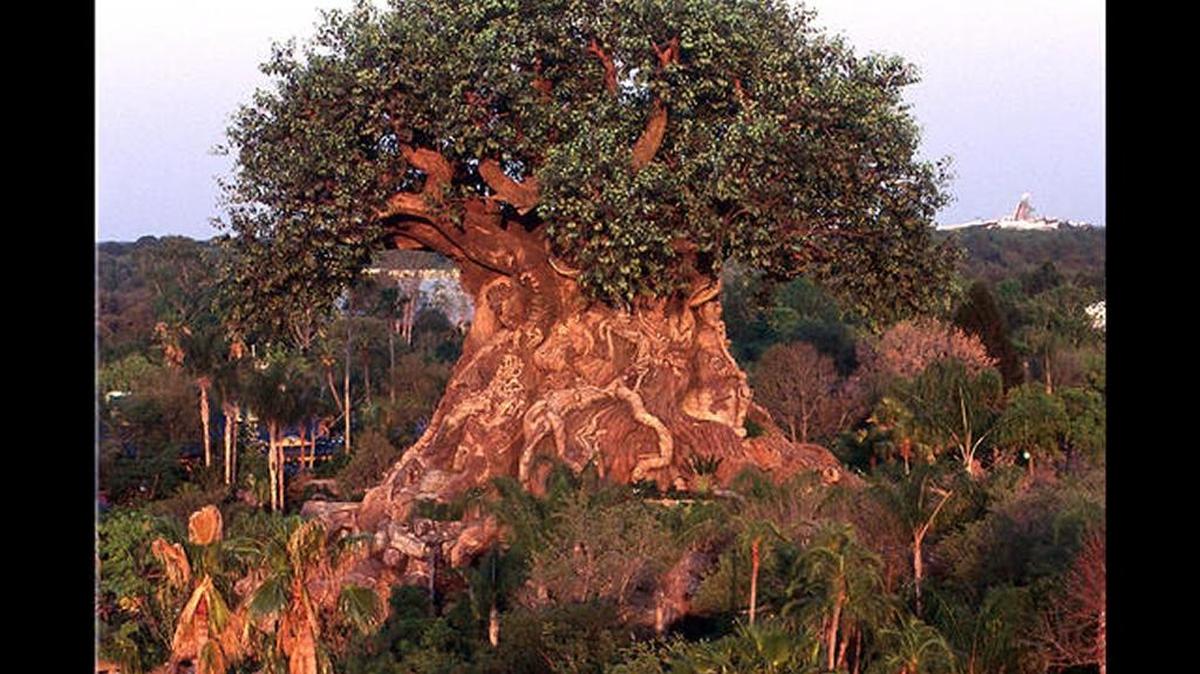 The Tree of Life at Disney’s Animal Kingdom.