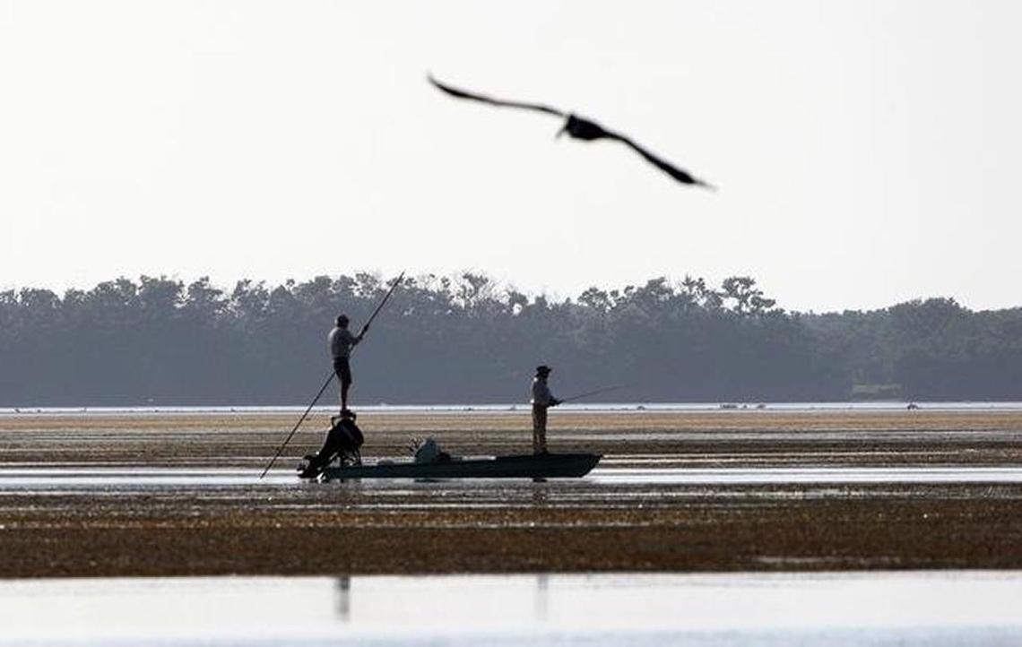 To address the damage done by rising sea levels and increased saltwater intrusion damaging coastal estuaries, the U.S. Army Corps of Engineers is planning a new Everglades restoration project.