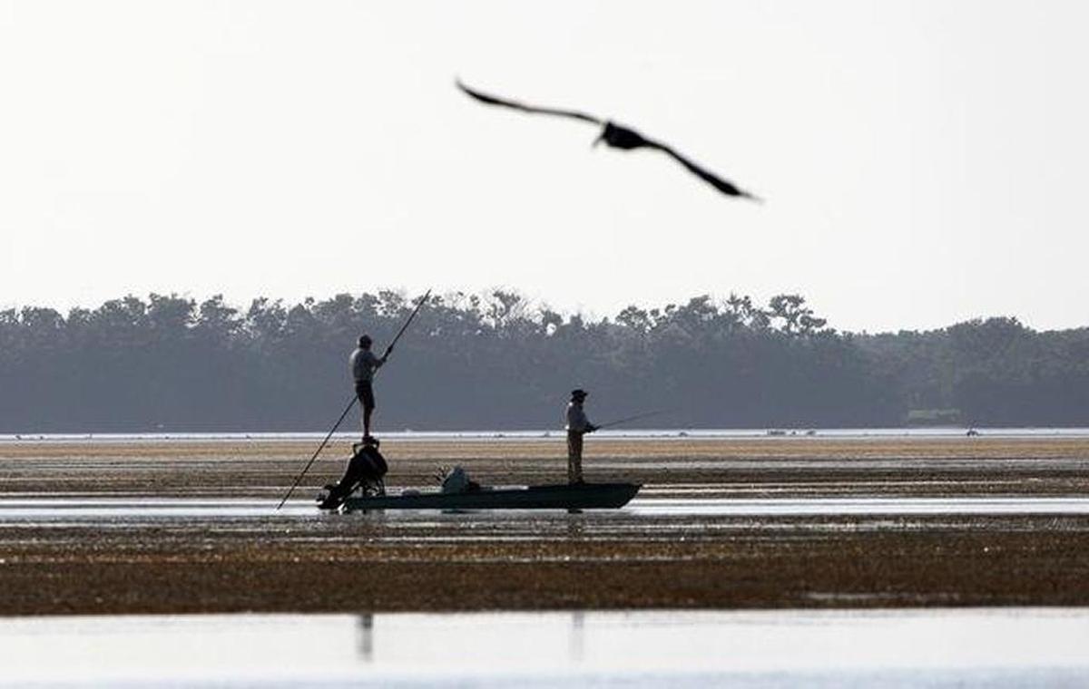 To address the damage done by rising sea levels and increased saltwater intrusion damaging coastal estuaries, the U.S. Army Corps of Engineers is planning a new Everglades restoration project.
