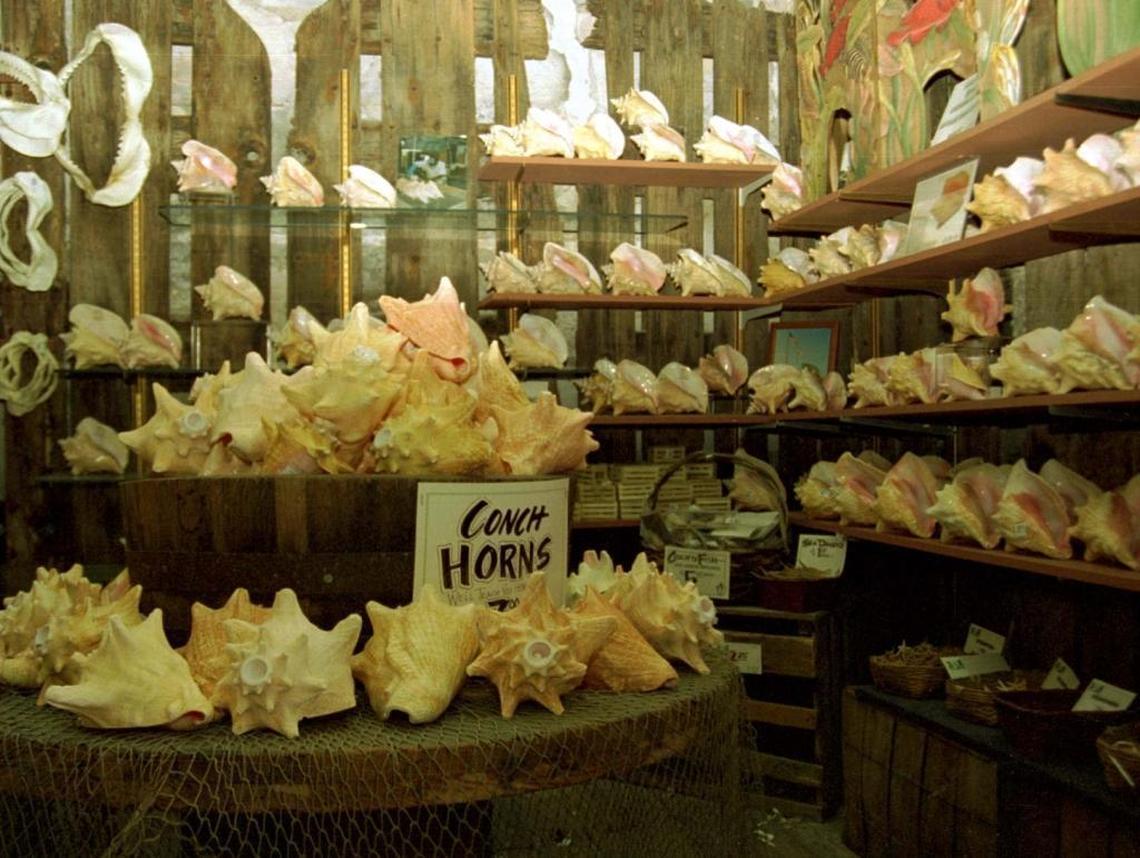 While it’s illegal to take conch shells from Keys waters, it’s easy to find them for sale at shell shops, like this one at Mallory Square in Key West.