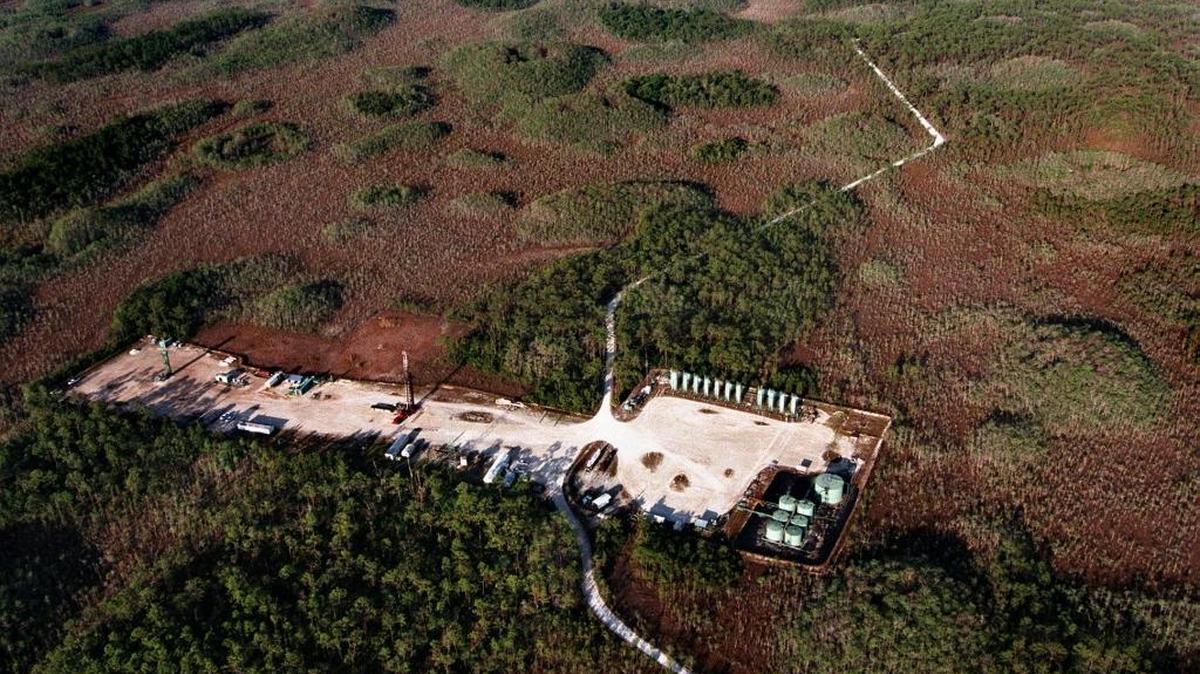 Texas-based oil company applied for permits to build well pads and access roads inside Big Cypress National Preserve as it prepares to drill for oil in the sensitive habitat.