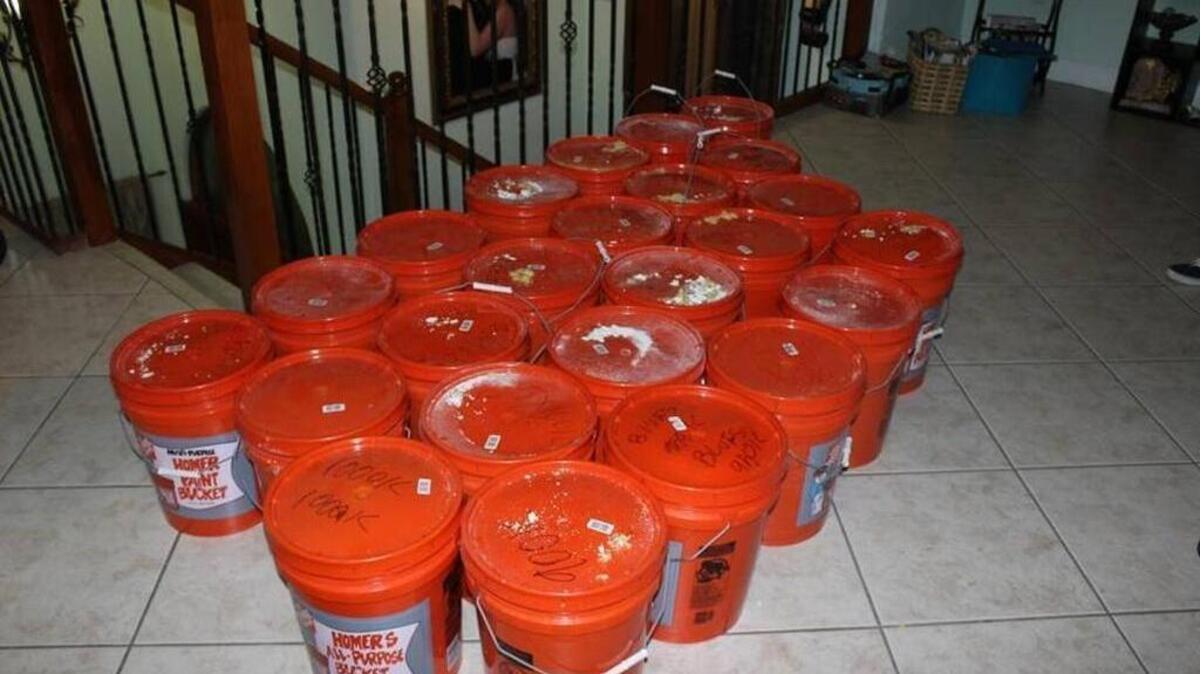 Cash in buckets seized from the Miami Lakes home of Luis Hernandez-Gonzalez. He is charged with money laundering and marijuana trafficking.