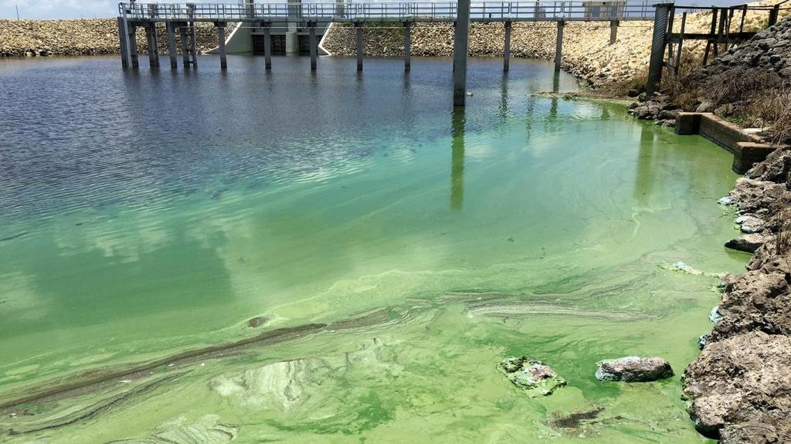 South Florida Water Management District officials are in the midst of planning a deepwater reservoir aimed at reducing the amount of polluted water released from Lake Okeechobee and increasing the amount of clean water flowing south to Florida Bay.