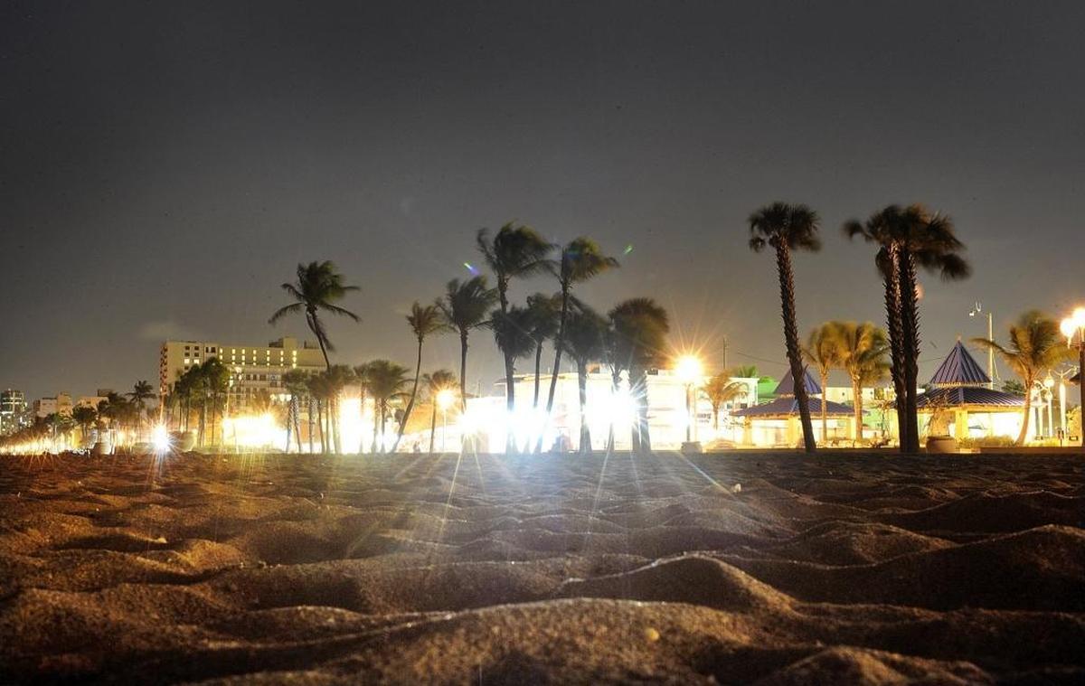 City lights can disorient baby sea turtles causing them to scramble along the beach looking for the surf. But a new study found that even disoriented turtles weren’t too tired to swim.