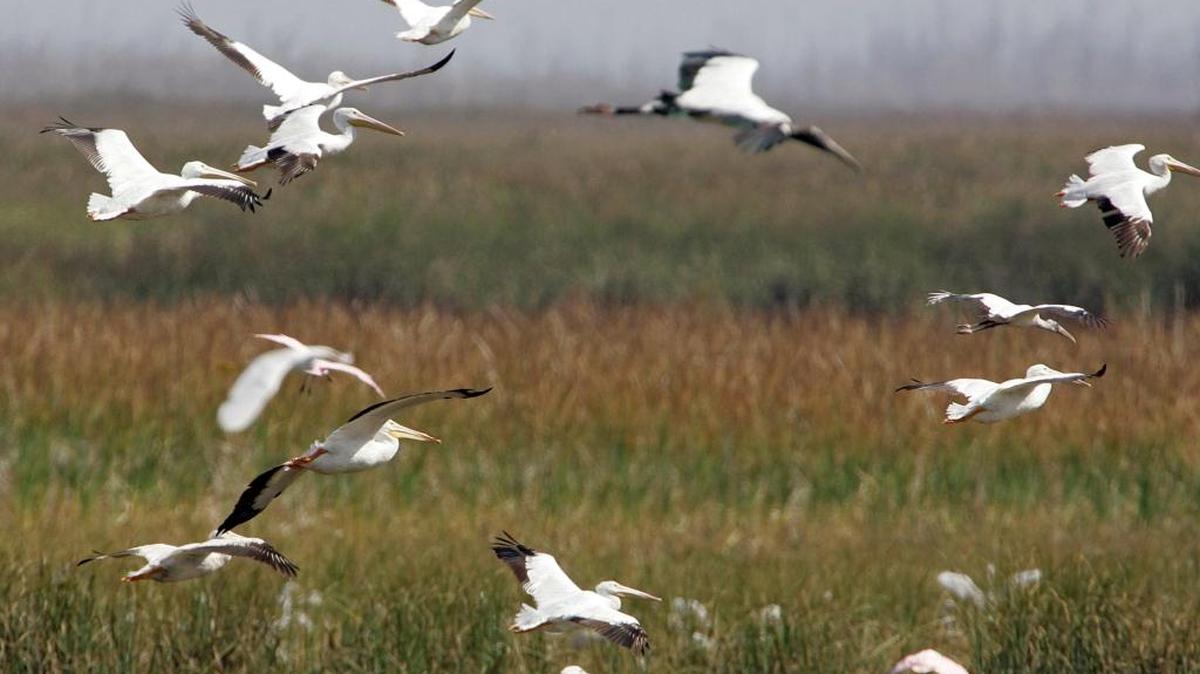 Proposed environmental legislation this session comes from regional planning councils, local governments, elected state lawmakers and nonprofit organizations like 1000 Friends of Florida, the Sierra Club and Tampa Bay Waterkeeper, among others.