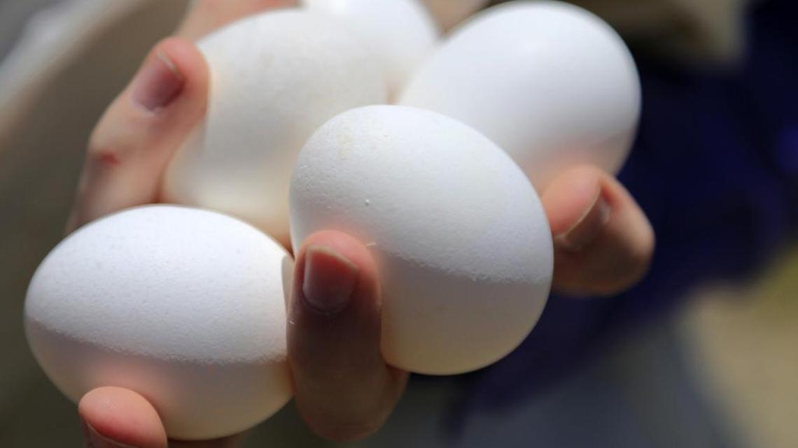 Eggs are one of the items that won’t last in your refrigerator more than four hours after it loses power, says the U.S. Department of Agriculture.