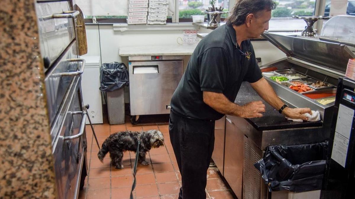 In this file photo, John D’Atria, owner of Cafe Amalfi, and his dog, Lakota, run his restaurant as Hurricane Irma blows outside on Sunday, Sept. 10, 2017 in Bradenton. Cafe Amalfi remains one of the only open restaurants in Bradenton as the storm rages. D’Atria says he mostly opened to help out the people at the hotel next door.