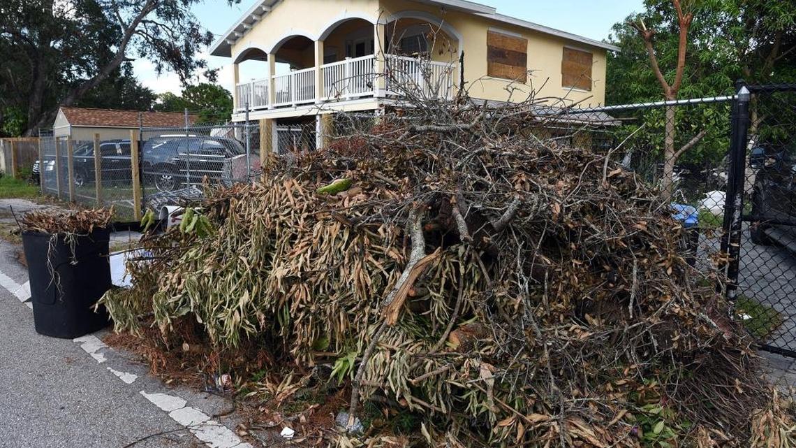 As huge piles of debris sit on the edges of properties around the county, officials say contracted debris workers will be out seven days a week to collect Irma waste.