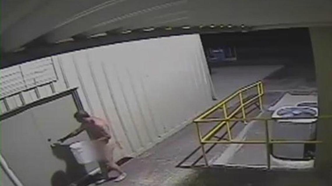 Polk deputies: Naked man steals ‘swan’ worth estimated $25,000