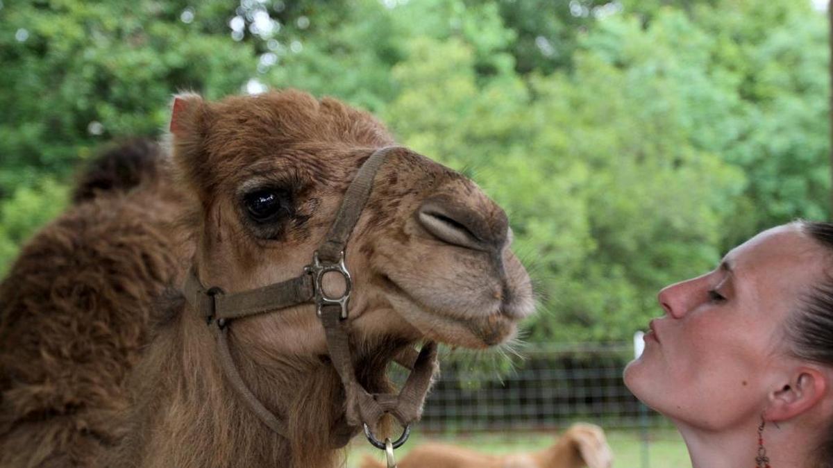 Macey Bowman gives a kiss to Sir Camelot during his birthday party at Beauvoir on May 15, 2015, months before a lawsuit says he attacked a Florida woman.