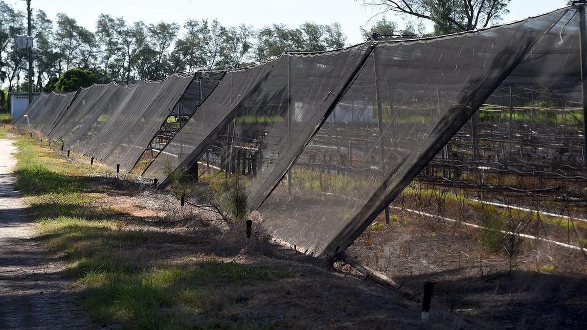 Peninsula Bay would be built on 359 acres owned by Manatee Fruit Co., north of Cortez Road. The project calls for 1,950 residential units, 90,000 square feet of nonresidential uses, a dry storage marina for 200 boats and a boat ramp.
