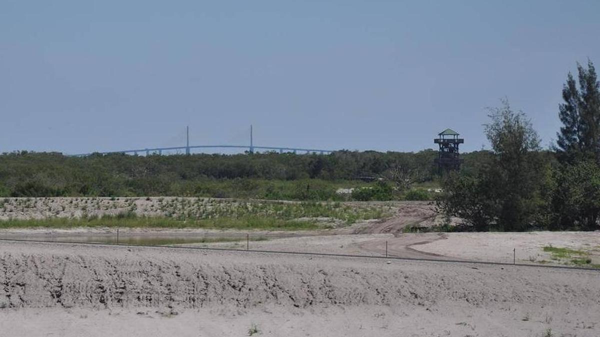 The Robinson Preserve observation tower and the Sunshine Skyway bridge can be seen from the Robinson Preserve expansion. Work on the 150-acre Robinson Preserve expansion is well underway.