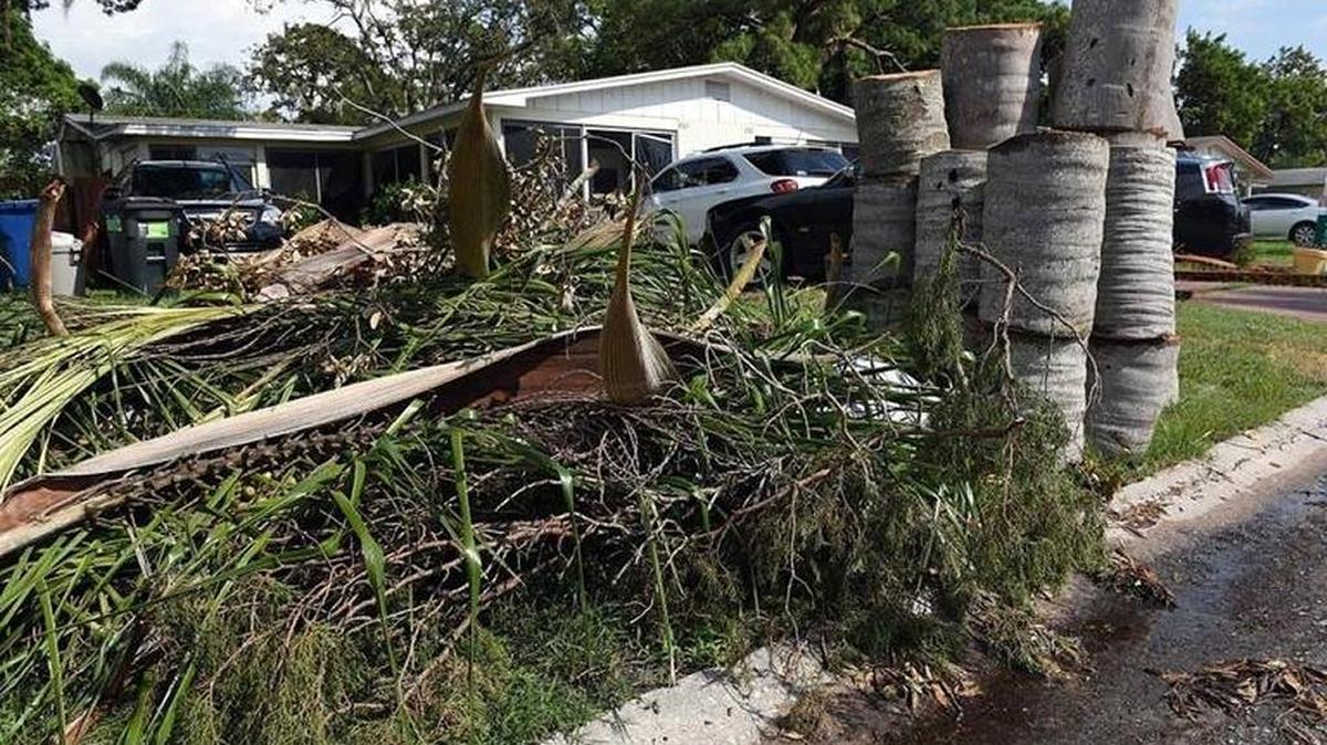 Manatee County’s Hurricane Irma debris cleanup will begin Tuesday.