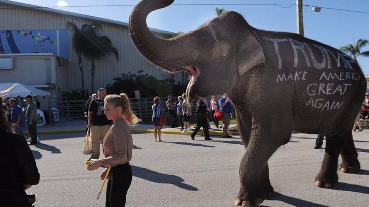 FILE: An elephant with then-GOP presidential candidate Donald Trump's campaign slogan paraded in November 2015 in Sarasota.