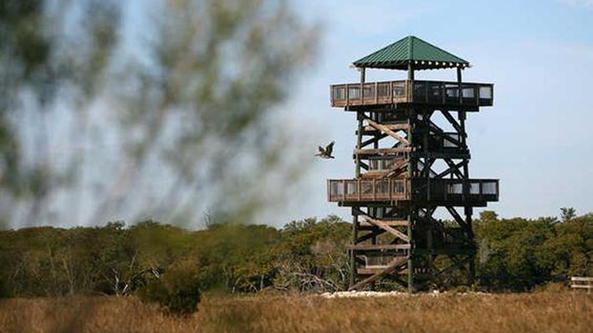 The observation tower at Robinson Preserve in Northwest Bradenton