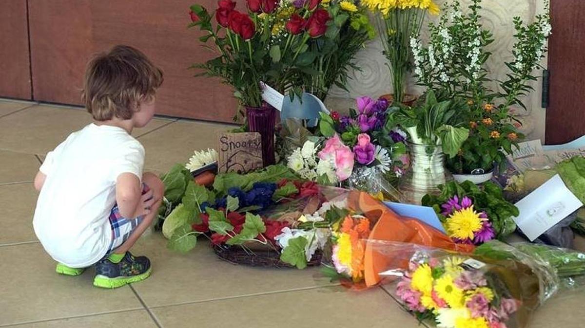 FILE: A child looks at the small memorial in front of the South Florida Museum on July 24, 2017.