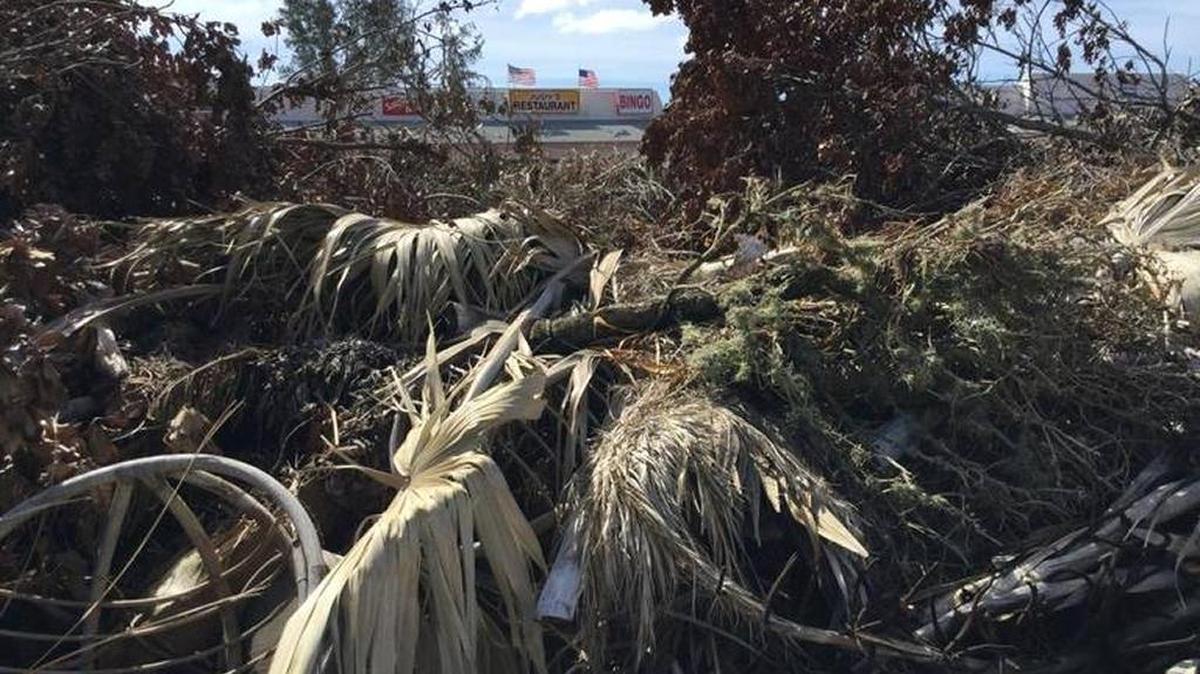 Judy’s Restaurant on Cortez Road West is barely visible from the road beyond a pile of storm debris deposited by nearby Mount Vernon Condos.