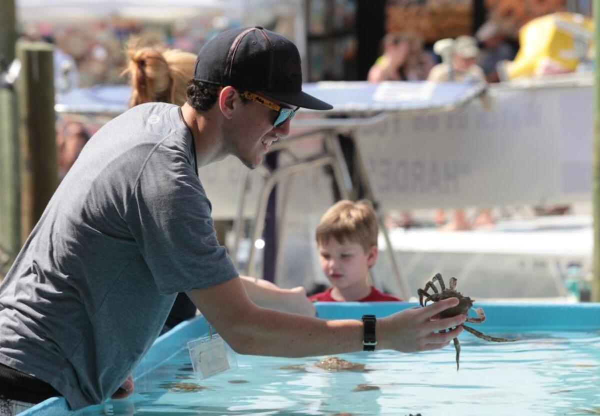 A volunteer holds up a crab while encouraging visitors to the touch tank to get up close and personal with a selection of coastal creatures during the 2012 Cortez Commercial Fishing Festival.