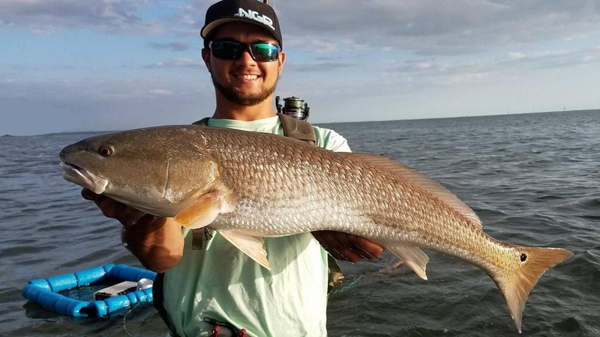 James Zornan holds one of the redfish he caught while wading from Emerson Point after finishing work on Tuesday. He took advantage of the outgoing tide to catch numerous fish.