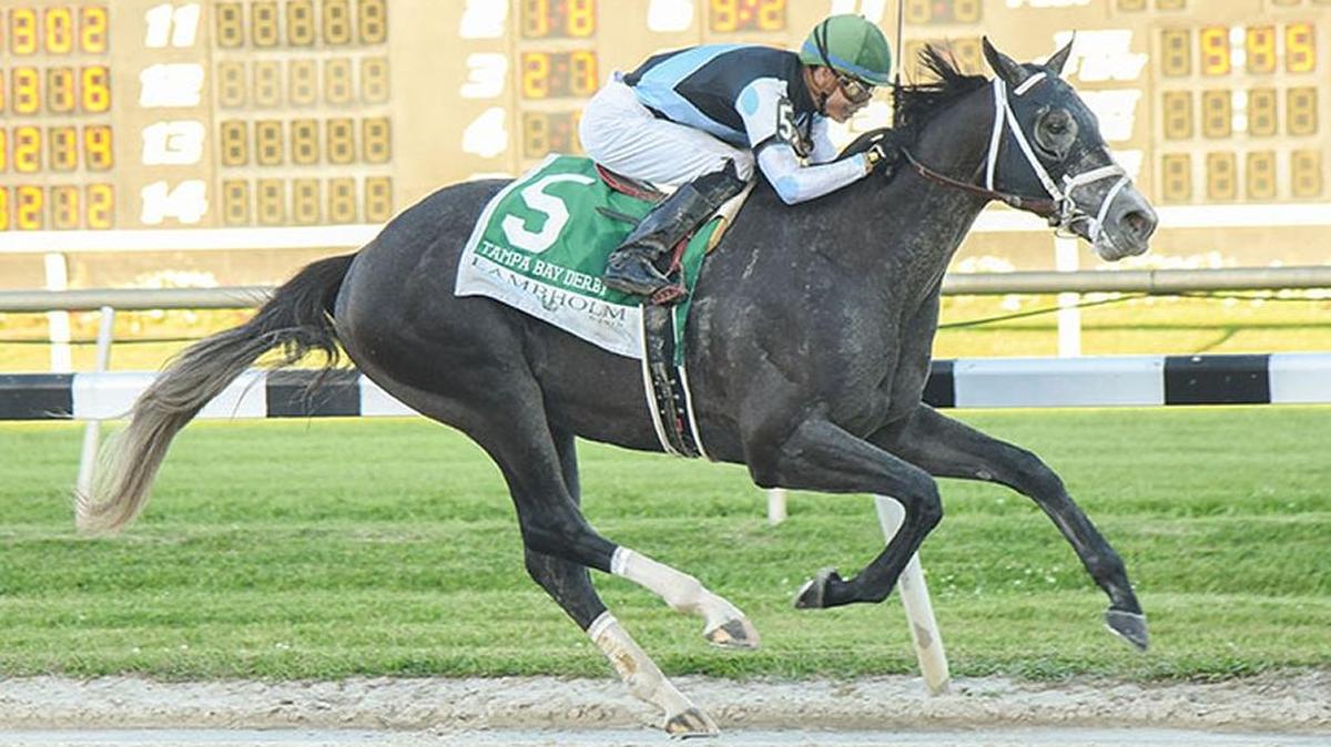 Tapwrit races to the finish line en route to winning the Grade II $350,000 Lambholm South Tampa Bay Derby at Tampa Bay Downs on Saturday.