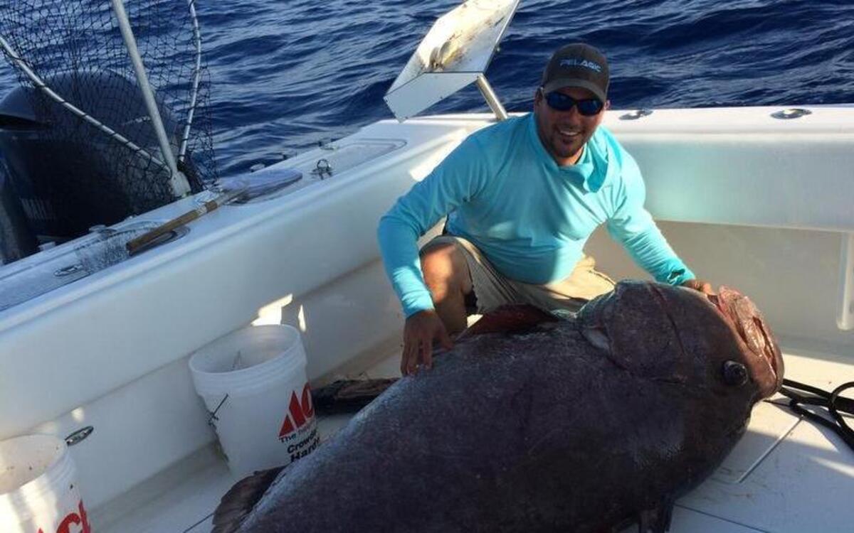 Anthony Panipinto with a 347-pound Warsaw grouper he hooked and was caught by team Jumbo Shrimp last weekend during the 33rd annual Crosthwait Memorial Fishing Tournament.