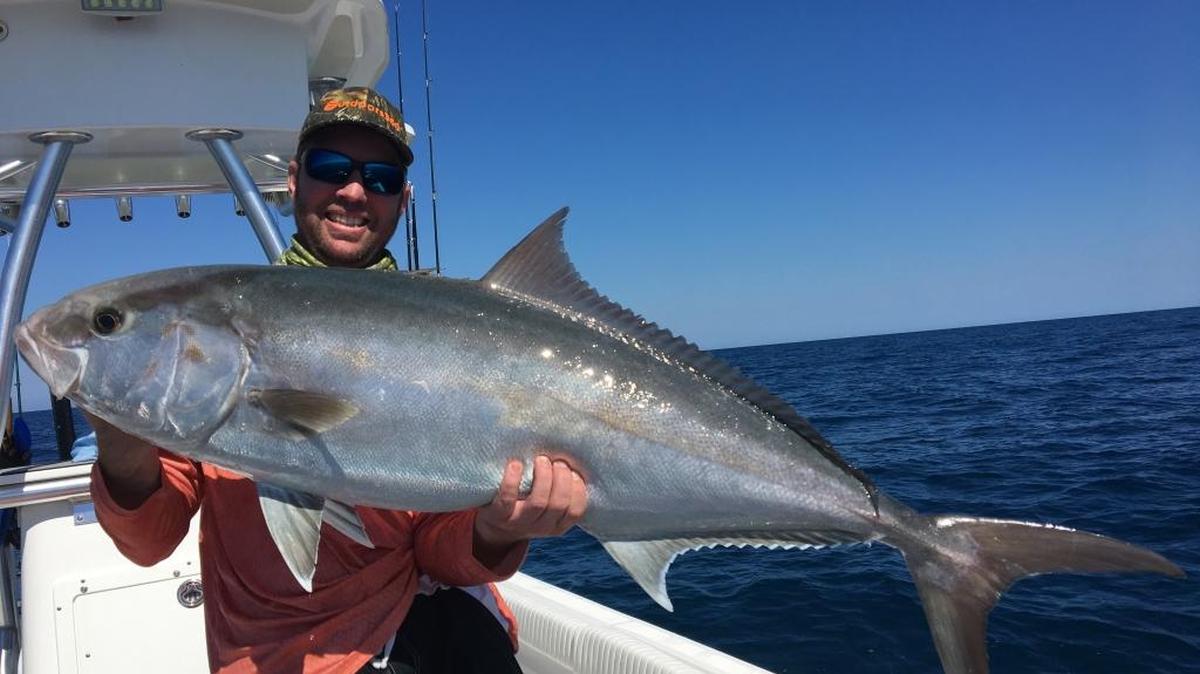Jon Chapman holds the 44-pound amberjack he caught in 65 feet of water using a grunt as bait before the season for the species was ended early.