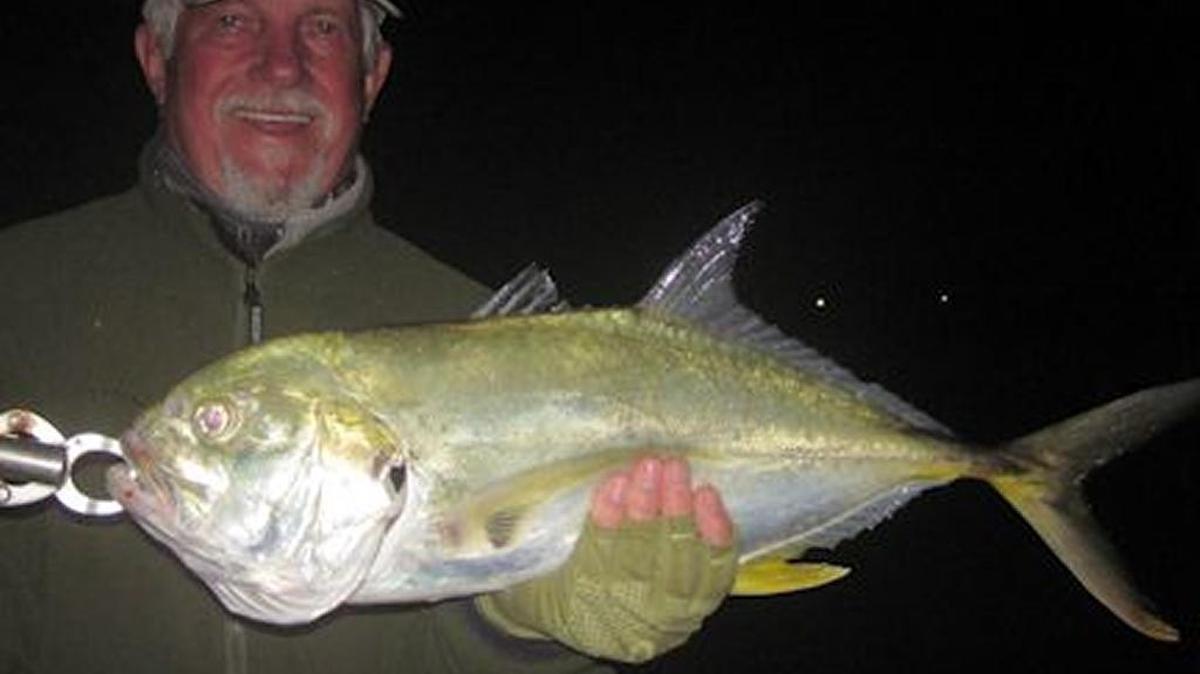 Anna Maria Island seasonal resident Bill Morrison holds one of his catches while fishing dock lights in the ICW in Blackburn Bay on Dec. 14 with Capt. Rick Grassett. Morrison and his party caught snook, jacks and a bluefish.