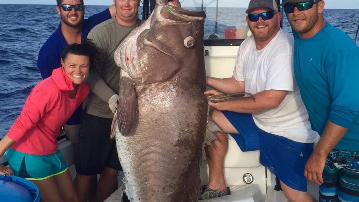 Magalie Grant, from left, Lee Blenker, Joe Sicking, Matt Purington (in white) and Jeremy Rzonca pose with the giant grouper that Purington caught.