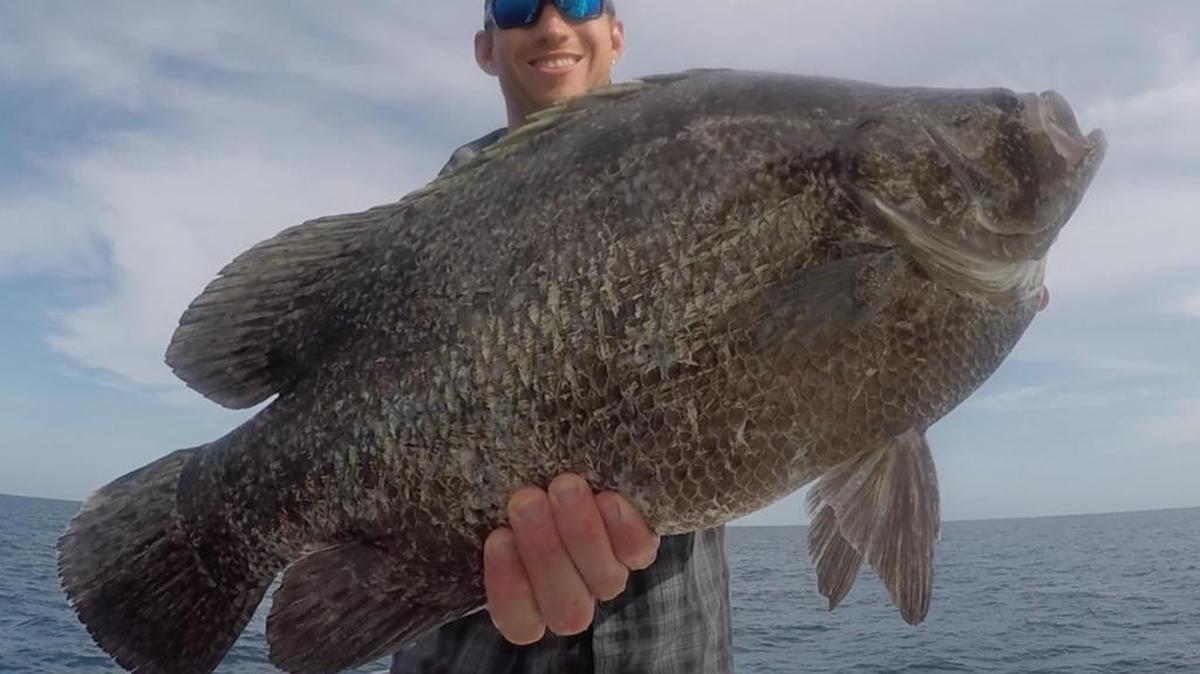 Chris Kennedy shows off the tripletail he landed near a floating chair in the Gulf of Mexico.
