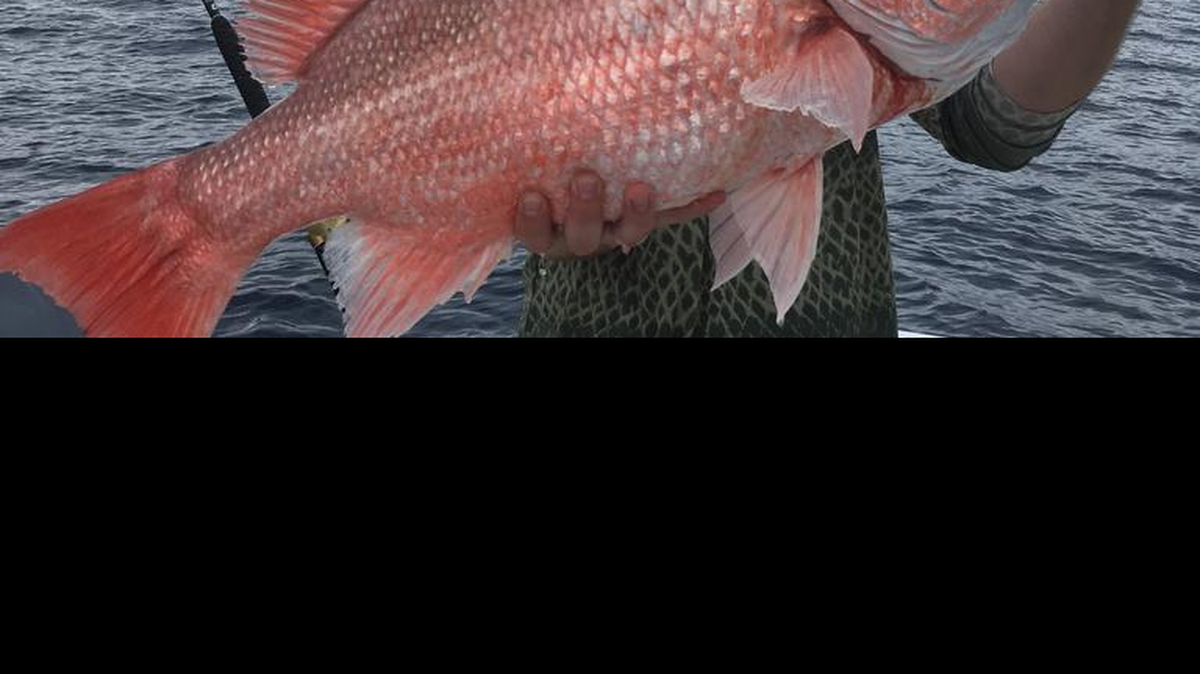 Jon Chapman holds a 20-pound red snapper. The fish was one of several that Chapman, Tony Summers and Jay Travis caught on a June 2 excursion into the Gulf of Mexico in pursuit of red snapper during the three-day federal recreational season.
