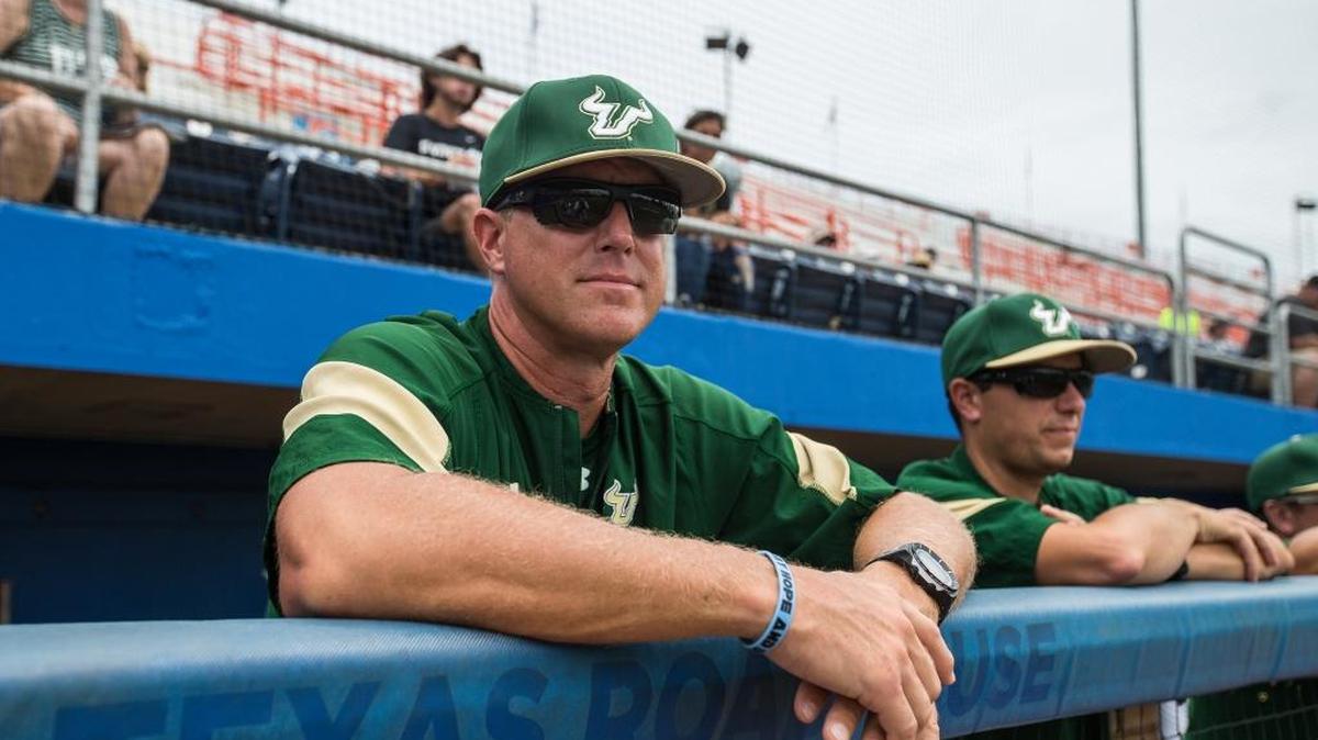 USF coach Mark Kingston is expected to be named South Carolina’s new head baseball coach, replacing Chad Holbrook.