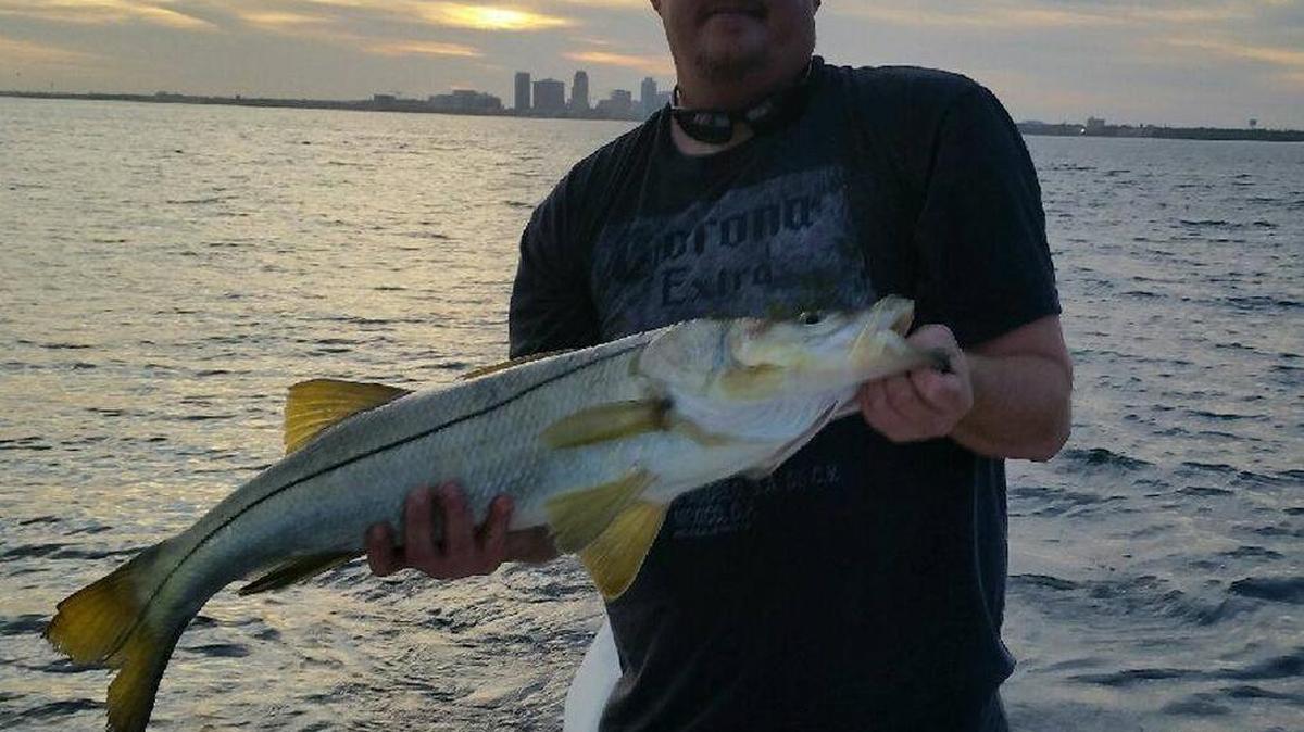 John Bozenhardt holds the snook he landed Monday night while trolling Tampa Bay for grouper. Finding snook in deep water isn’t as hard as most think. Getting them to bite, however, remains the trick.