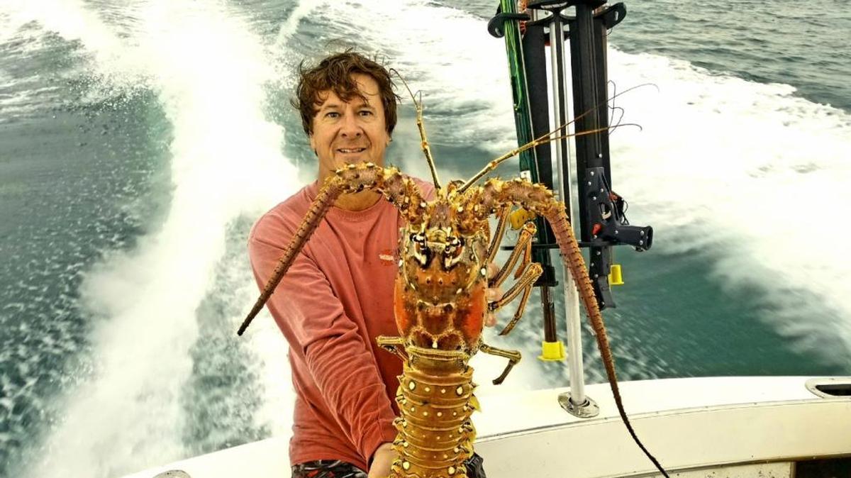 Tim Lehman displays a lobster caught recently offshore of Anna Maria Island.