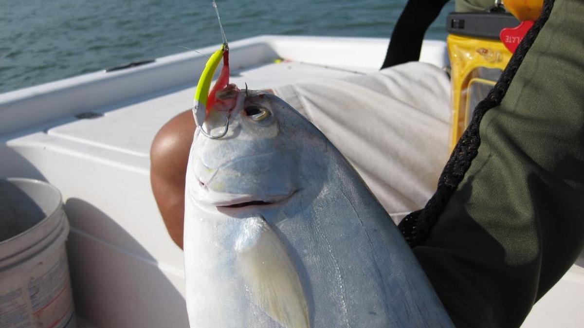 This pompano was caught on a 1/2-ounce goofy jig with a pink teaser this past week.