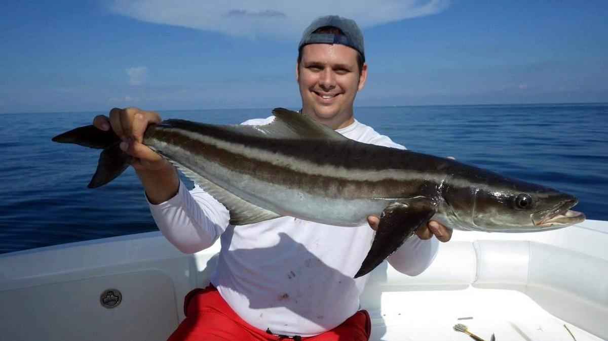 Adam Thompson with a cobia caught 5 miles offshore.