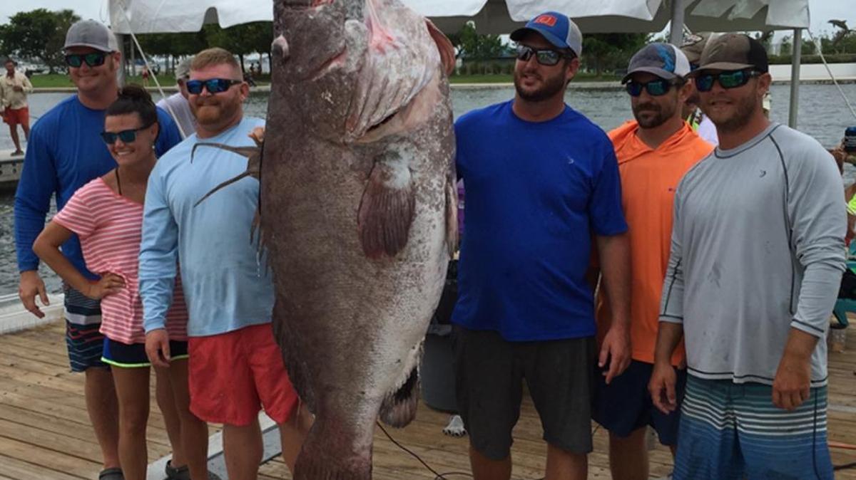 Members of Team Sea Saw/Blenker Boatworks stand next to the 226.7-pound warsaw grouper weighed in Saturday at the Sarasota Slam.