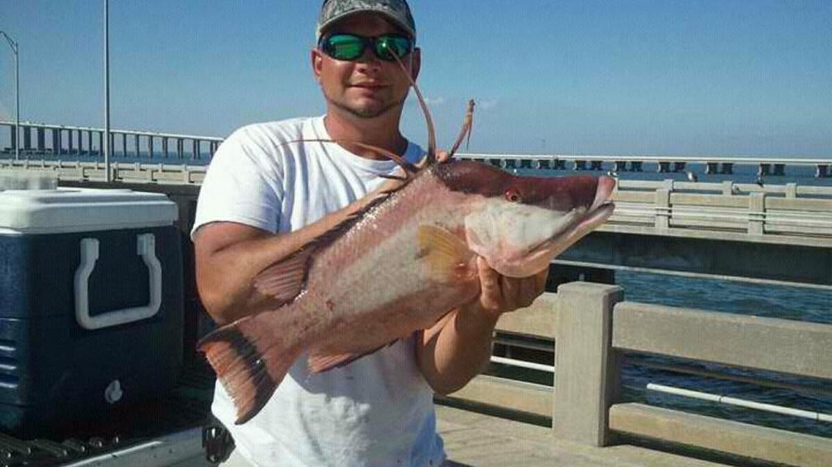 Jason Hoffman shows the hogfish he caught from the south Sunshine Skyway fishing pier on a select shrimp.
