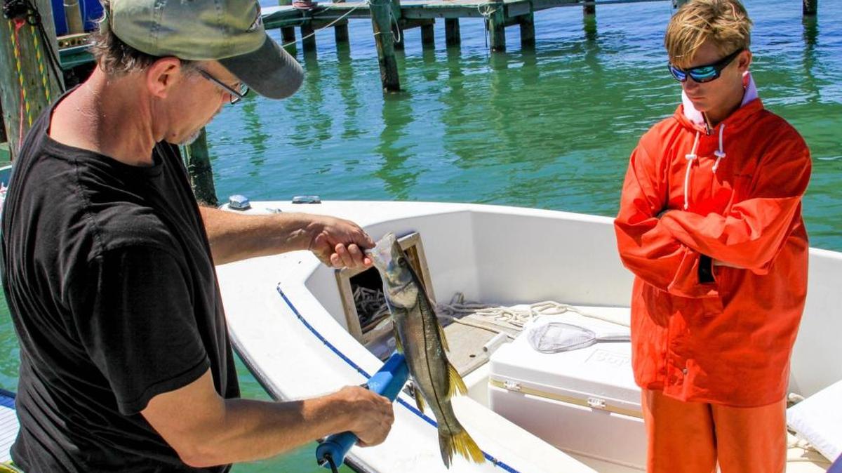 Dr. Nate Brennan, a Mote staff scientist, scans a snook caught last year by Carter Reemelin to determine if it’s one that was previously tagged by Mote to help scientists accurately track and recover data from the fish.