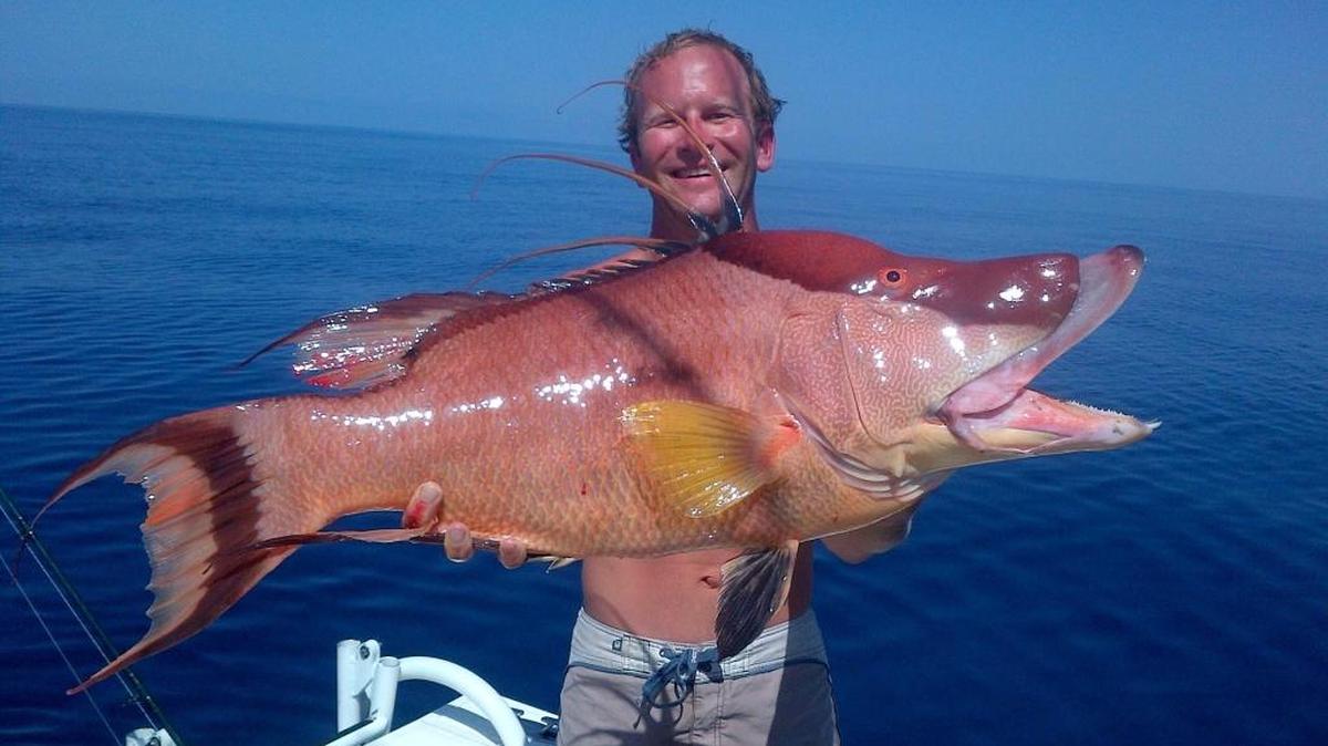 Logan Walters holds up the hogfish he caught while fishing near the Elbow in the Gulf of Mexico.