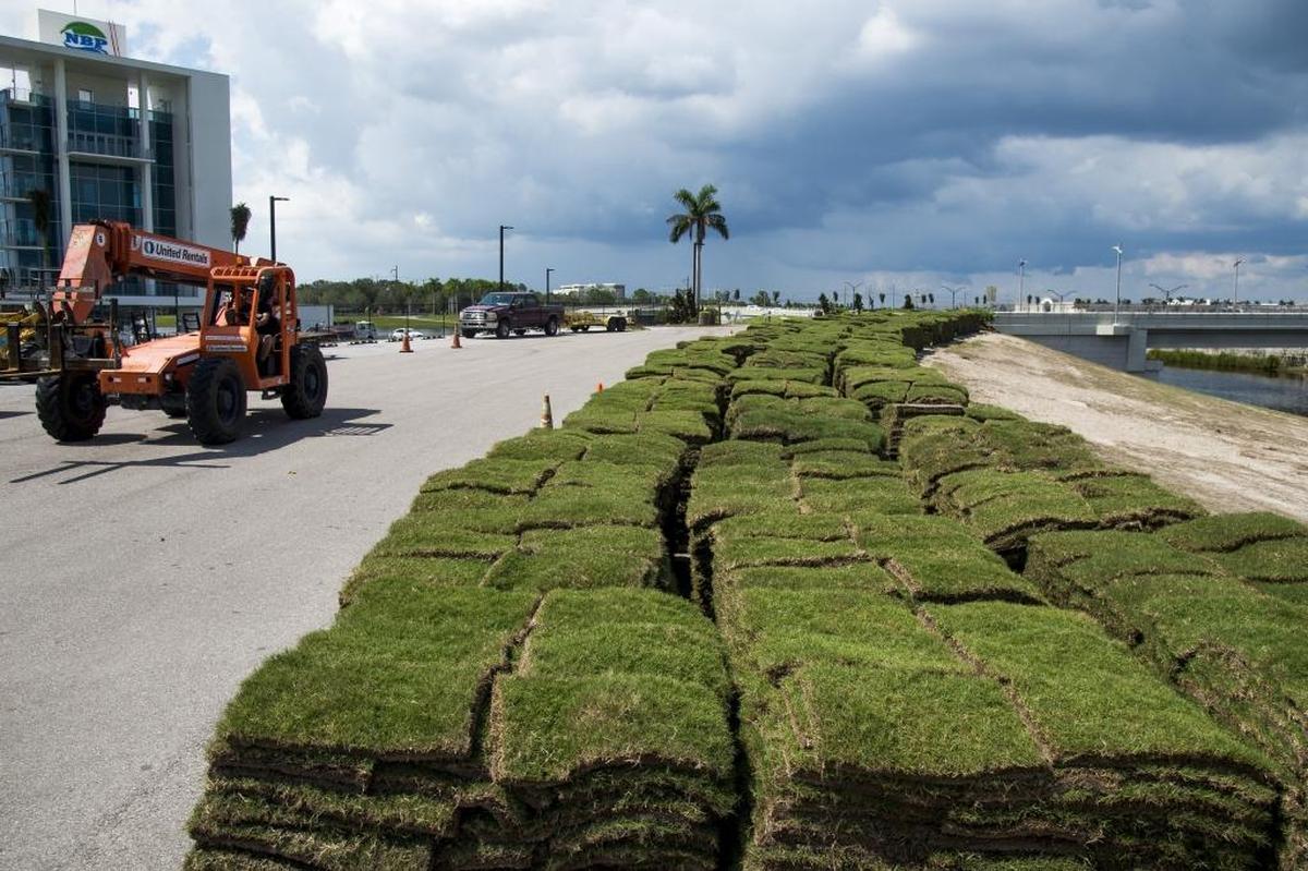 Piles of sod are laid out as Nathan Benderson Park on Friday in preparation for the upcoming World Rowing Championships.
