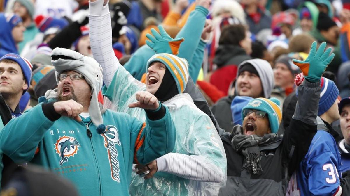 Dolphins fans have reason to cheer for the first time in nearly a decade.