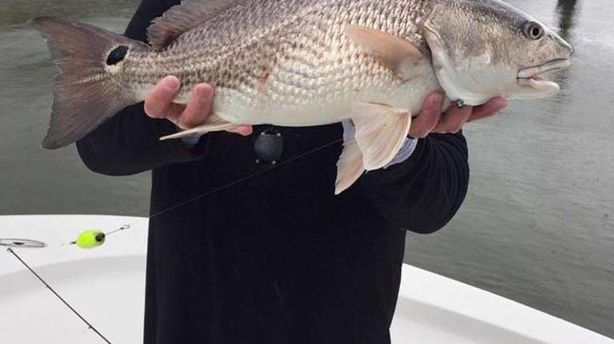 Former Florida resident Todd Wynn holds the 25-inch, 10-pound redfish he caught recently. Wynn lives in coastal Georgia and caught the fish in his local waters.